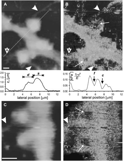 FIGURE 3