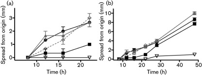 Fig. 7. 