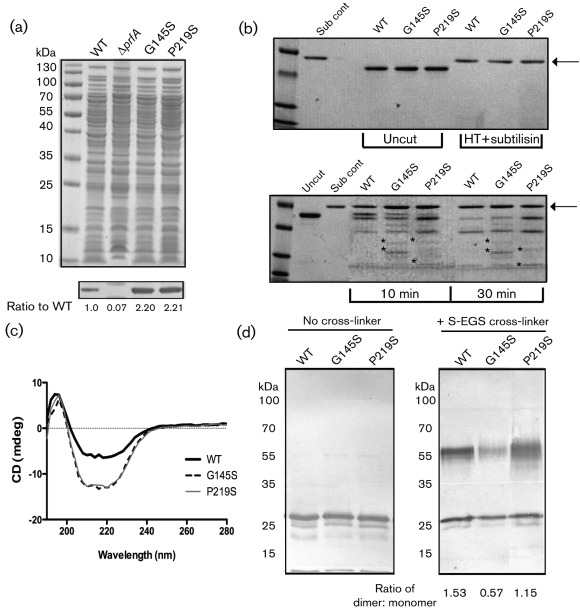 Fig. 3. 