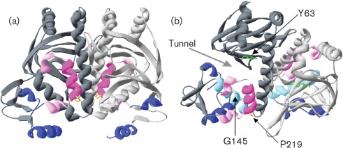 Fig. 1. 