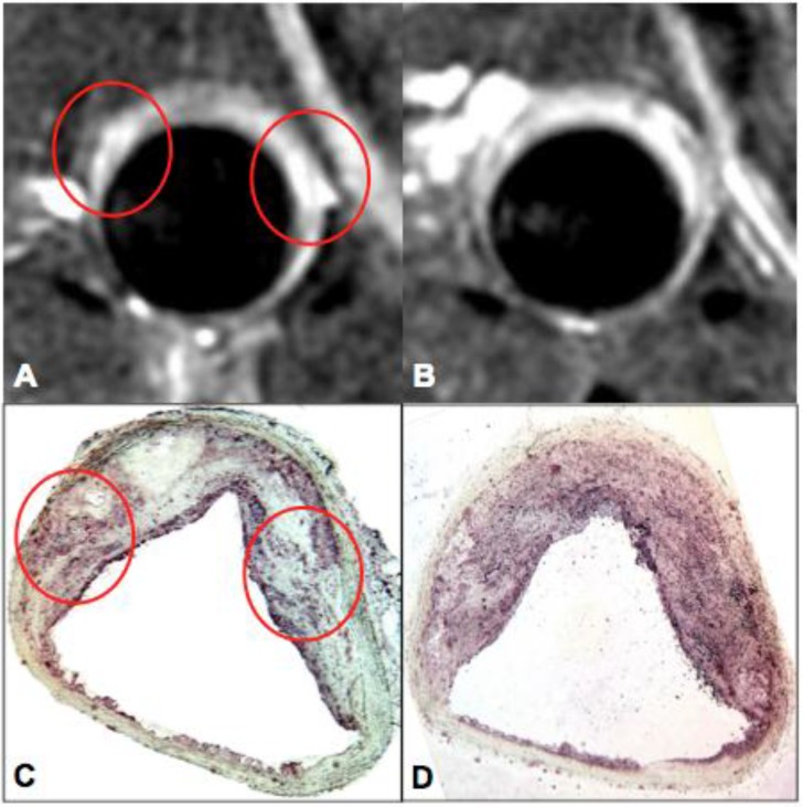 Fig 6