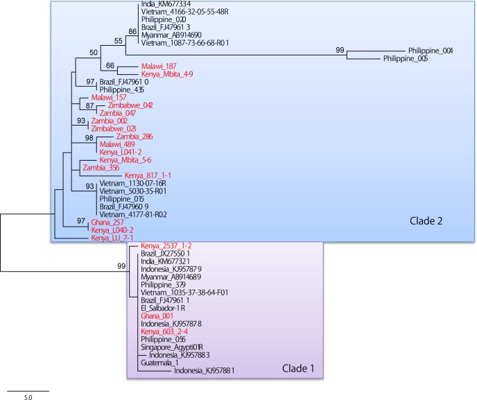 Fig 5