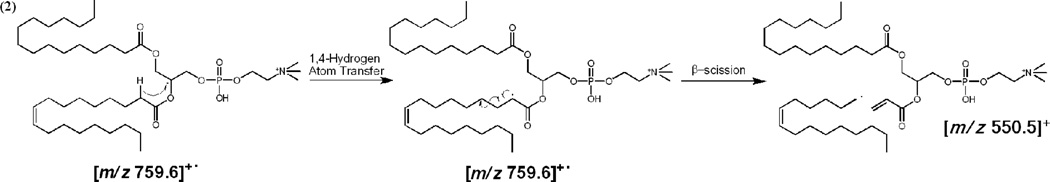 Scheme 2