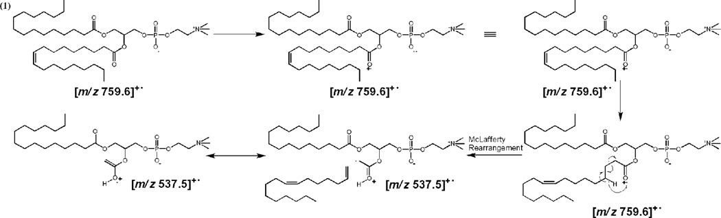 Scheme 3