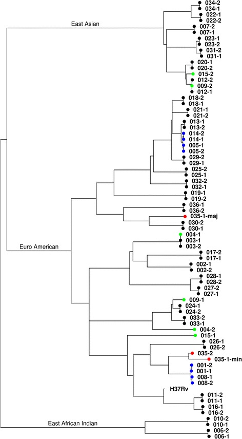 Fig. 2