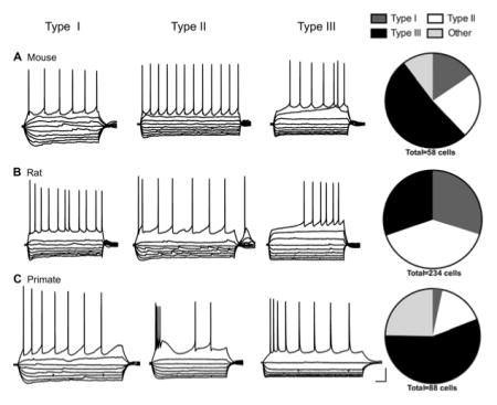 graphic file with name nihms918995u1.jpg