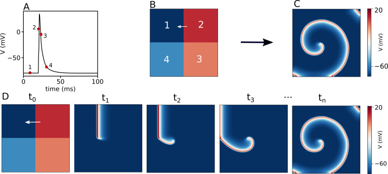 Figure 1—figure supplement 1.