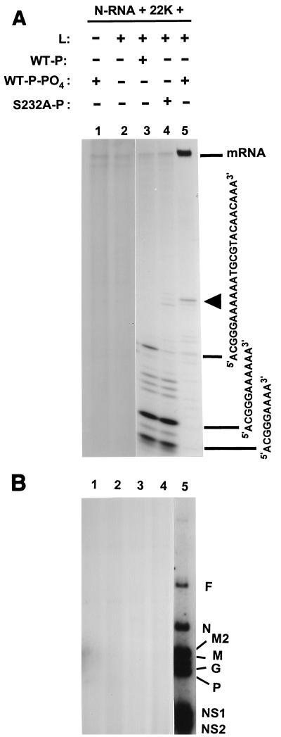 FIG. 4