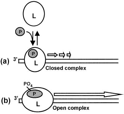 FIG. 6