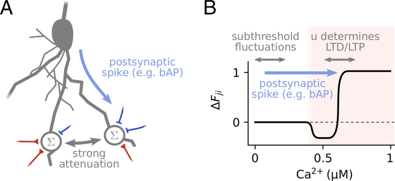 Fig. 6.