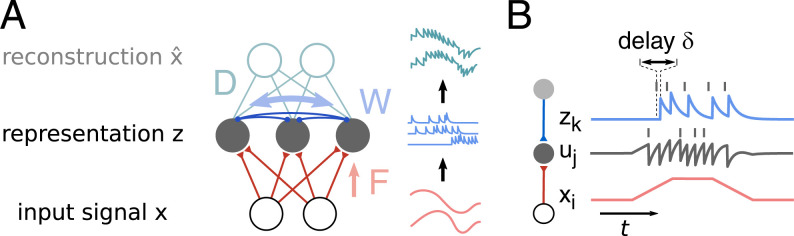 Fig. 1.