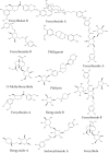 Fig 5