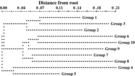 Fig. 3