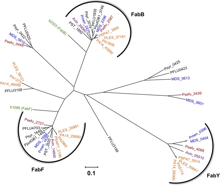 Fig 9