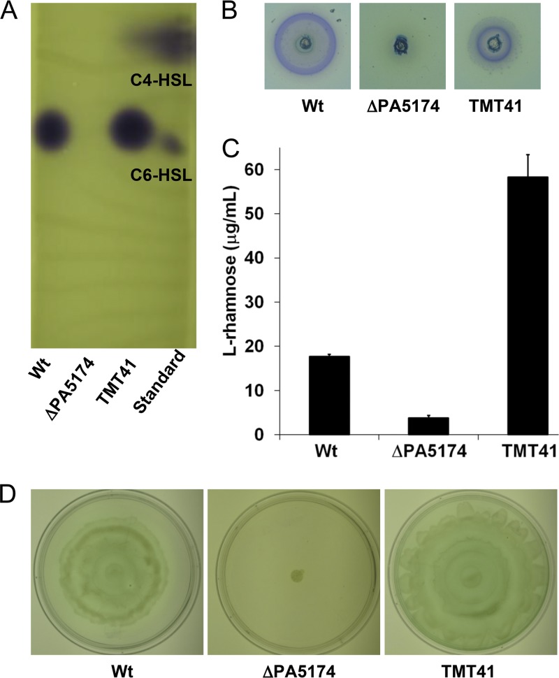 Fig 5