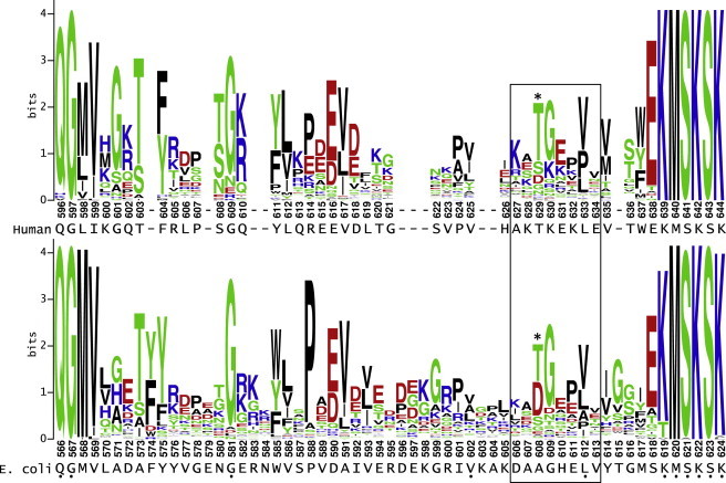 Figure 3