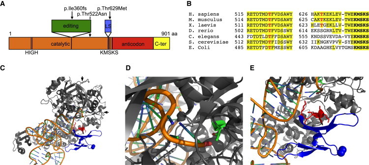 Figure 2