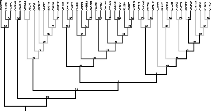 Fig. 2