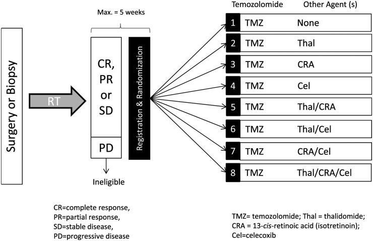 Fig. 1.