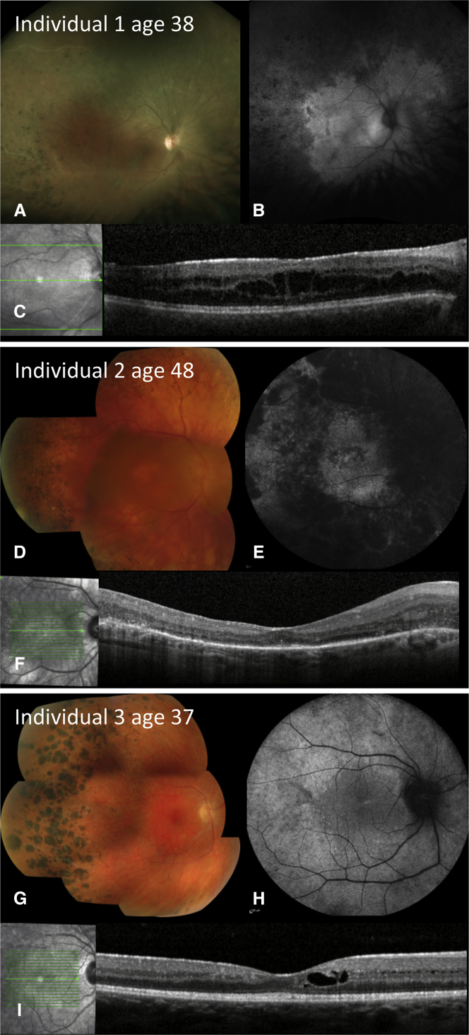 Figure 2