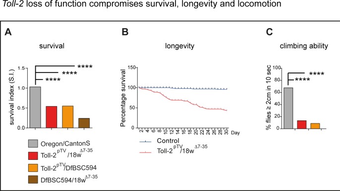 Figure 3—figure supplement 1.