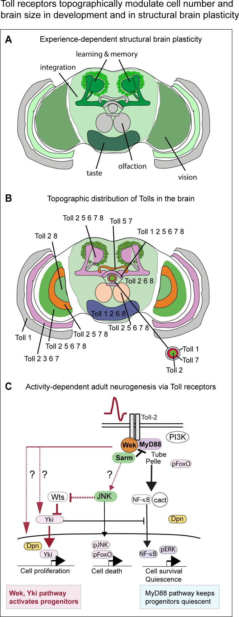 Figure 9.