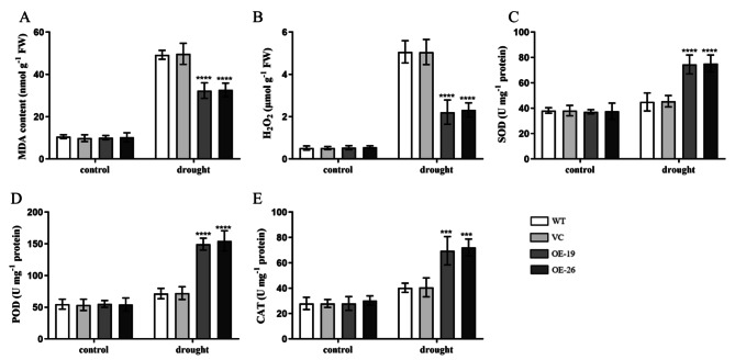 Fig. 9