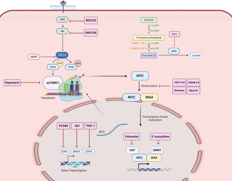 Figure 4