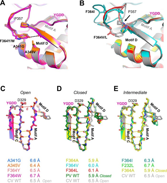 FIGURE 2.