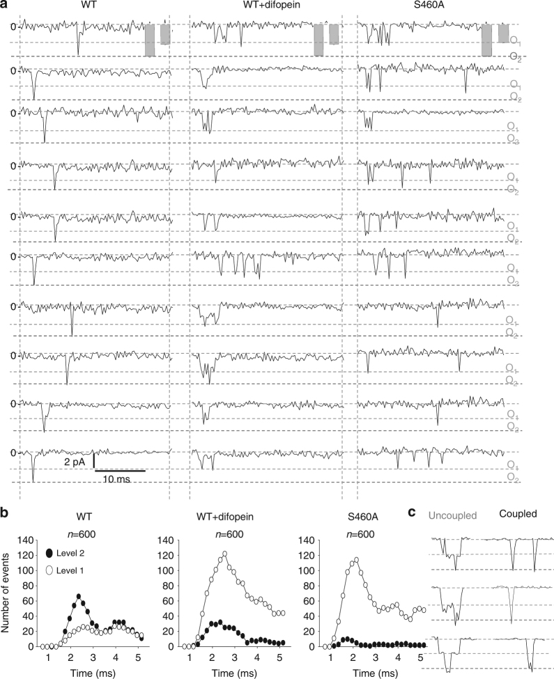 Fig. 7