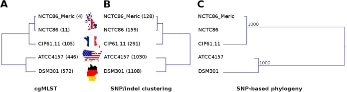 FIG 1 