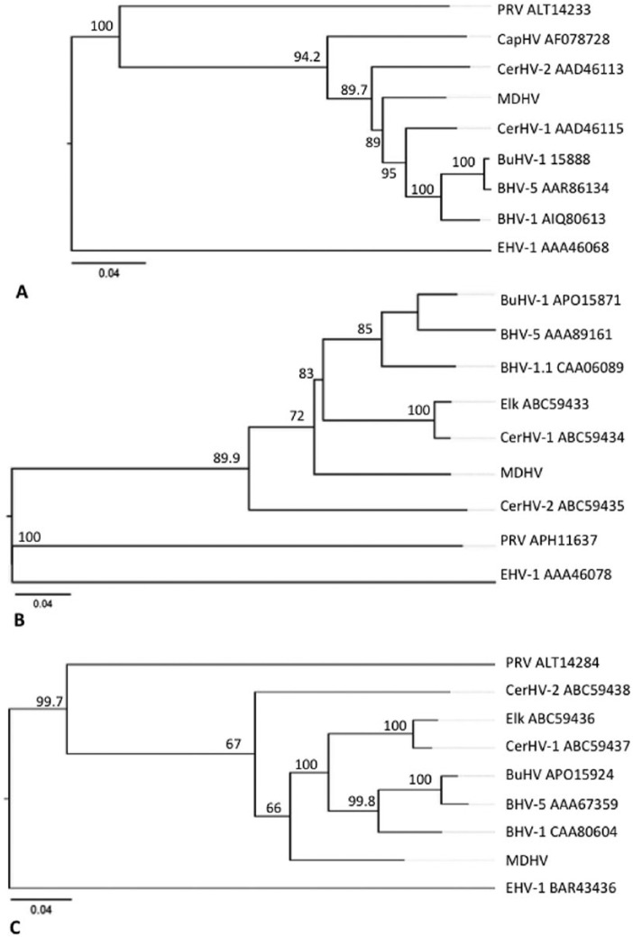 Figure 11.