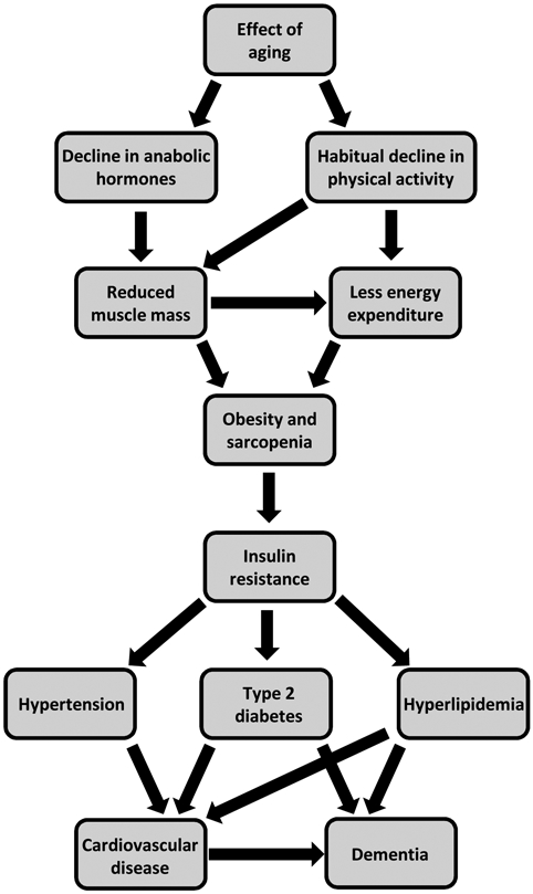 Figure 2: