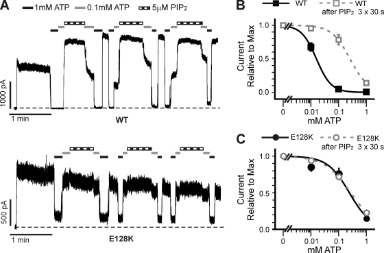 Figure 7.