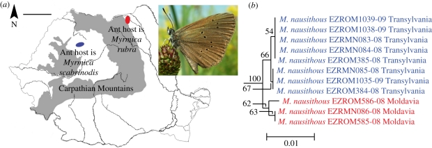 Figure 5.