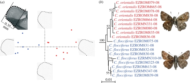 Figure 3.