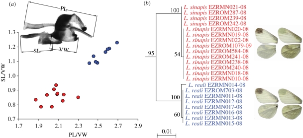 Figure 2.