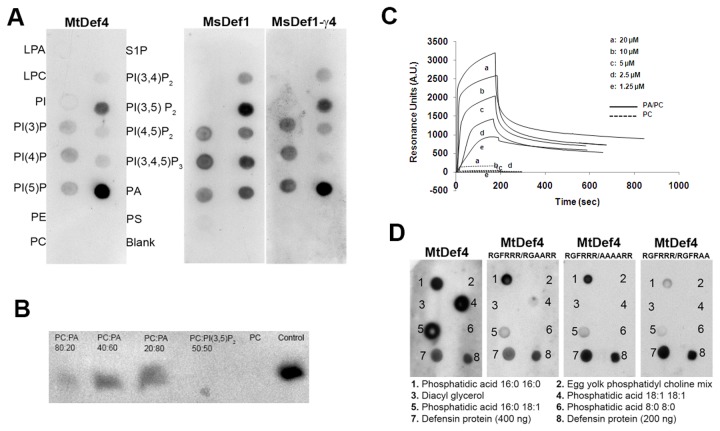 Figure 12