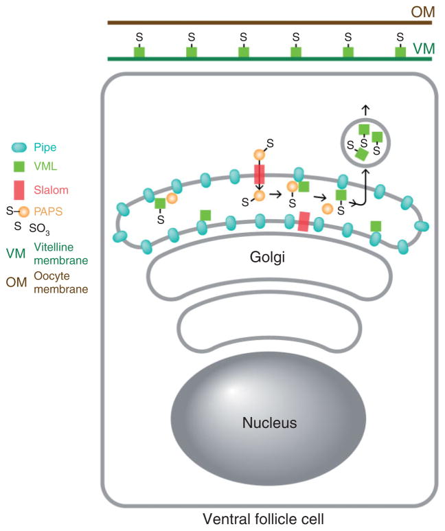 FIGURE 6