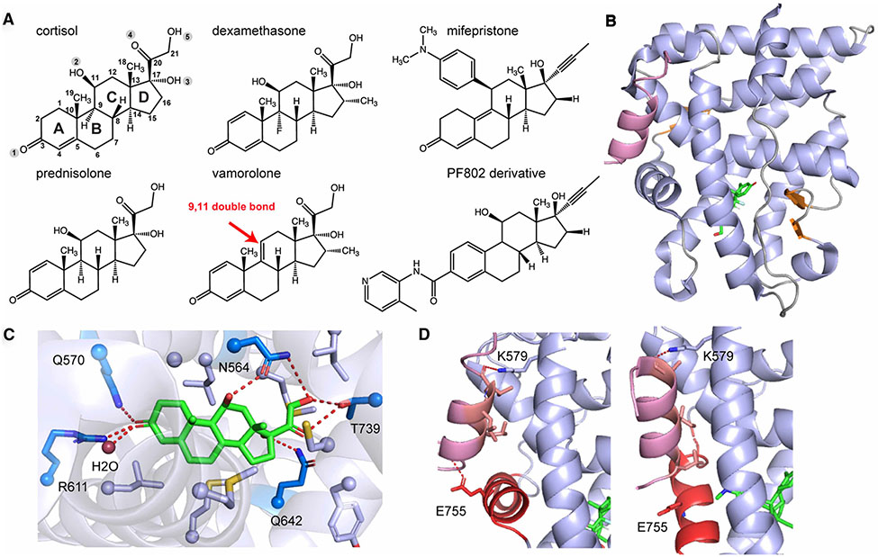 Figure 3.