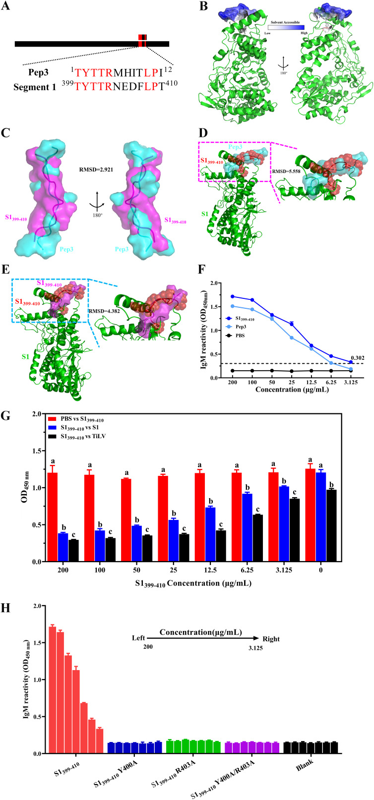 FIG 3