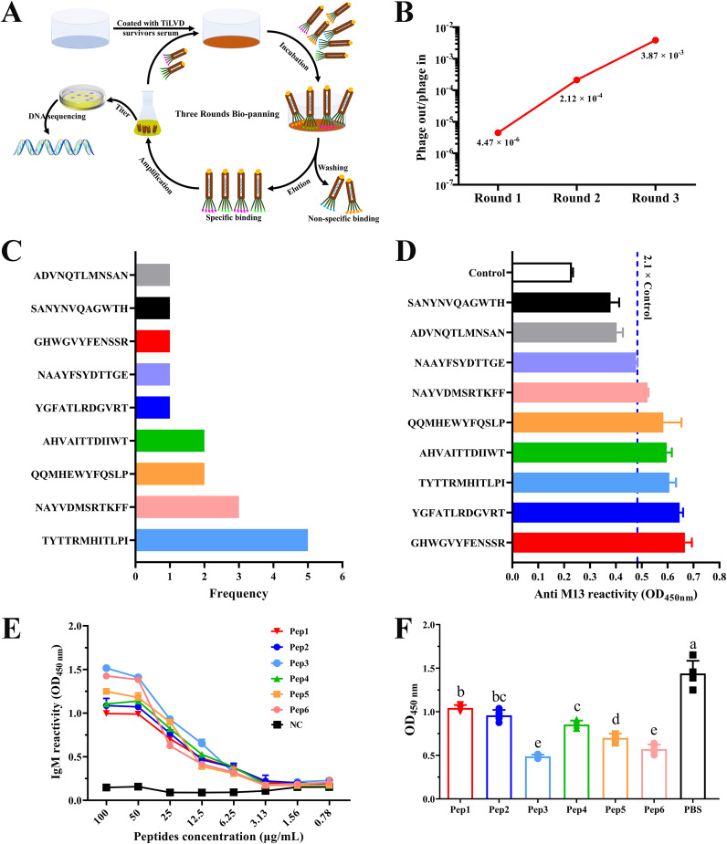 FIG 1