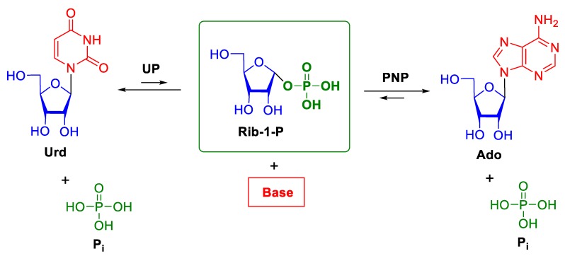 Scheme 1