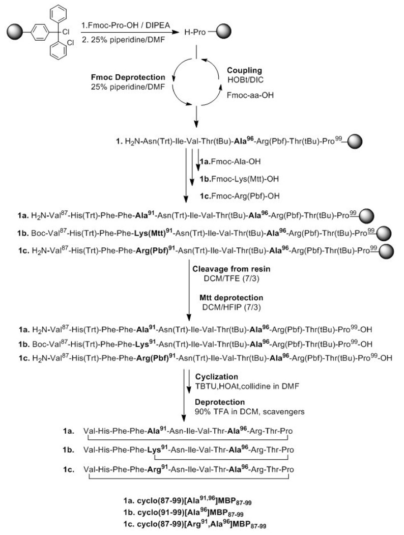 Scheme 1