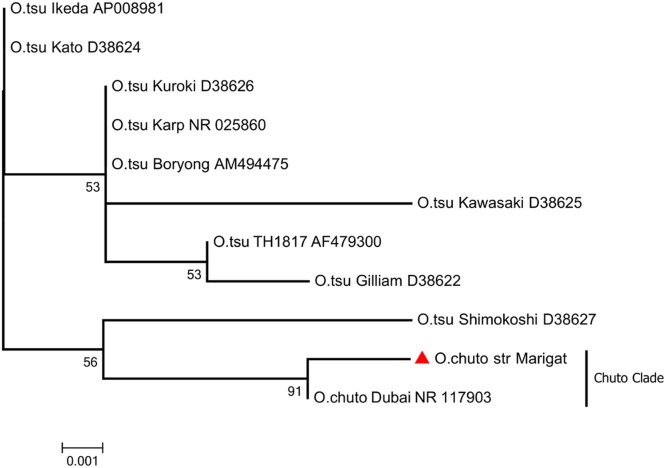 FIG 3