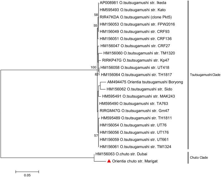 FIG 2