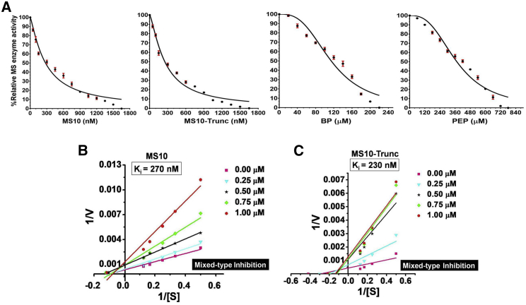 Figure 4