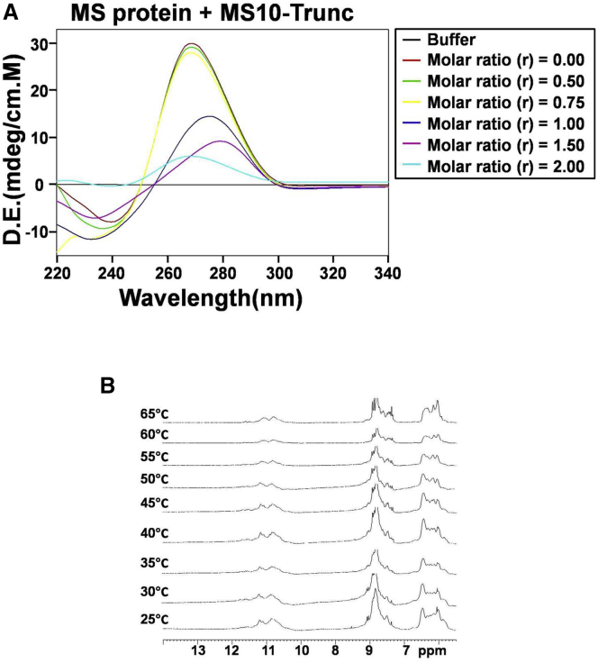 Figure 7