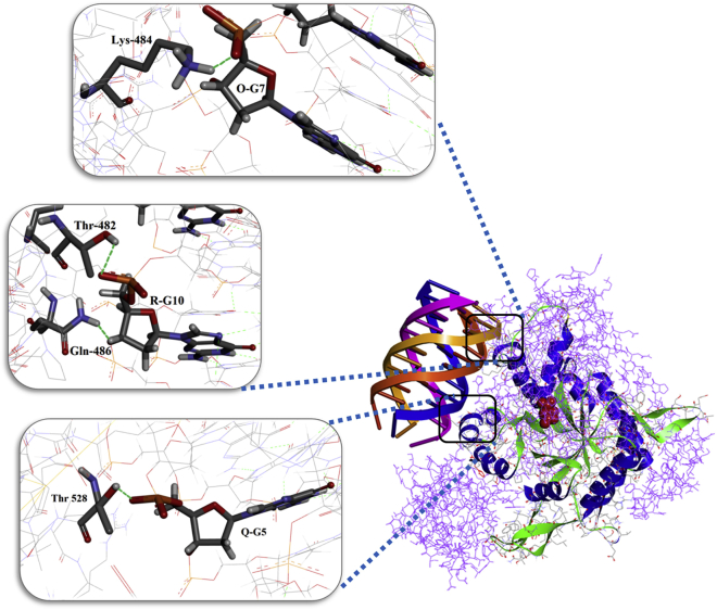 Figure 9