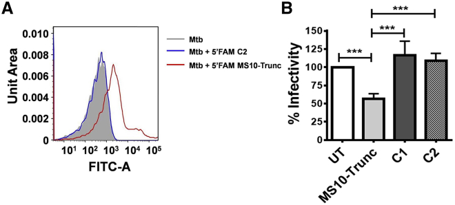 Figure 5